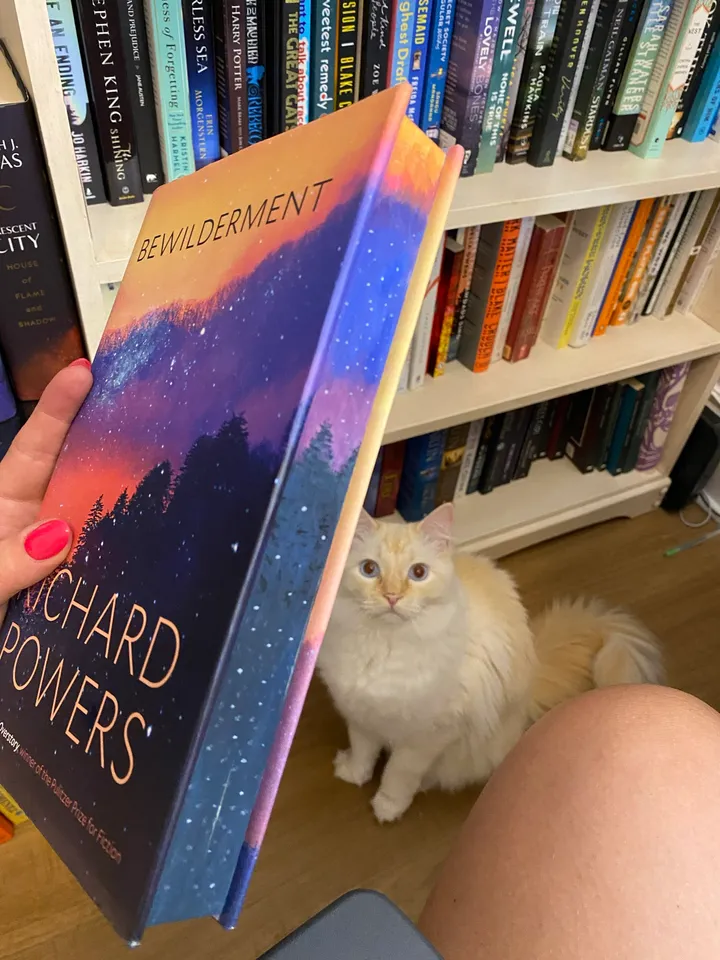 Fore-edge book painting