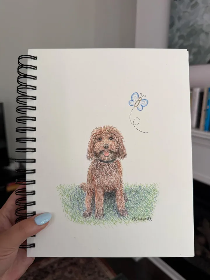 Pencil crayon drawing of a doodle dog