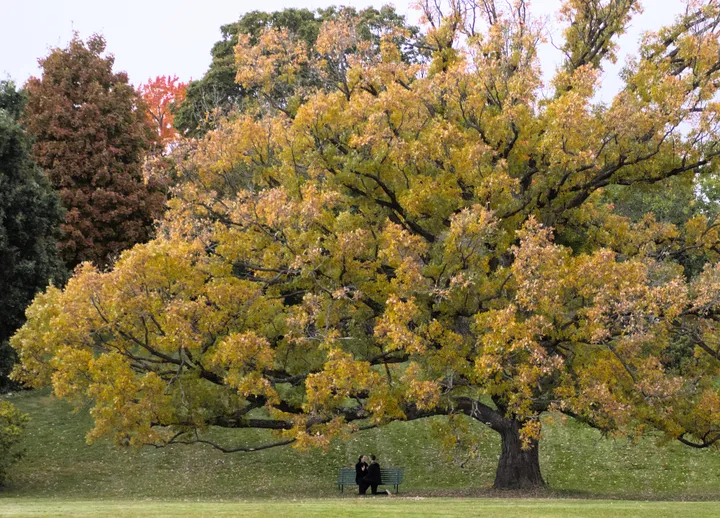 Engagement custom painting — reference